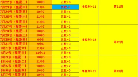焦点战：火花对决金州女战士，全面解析